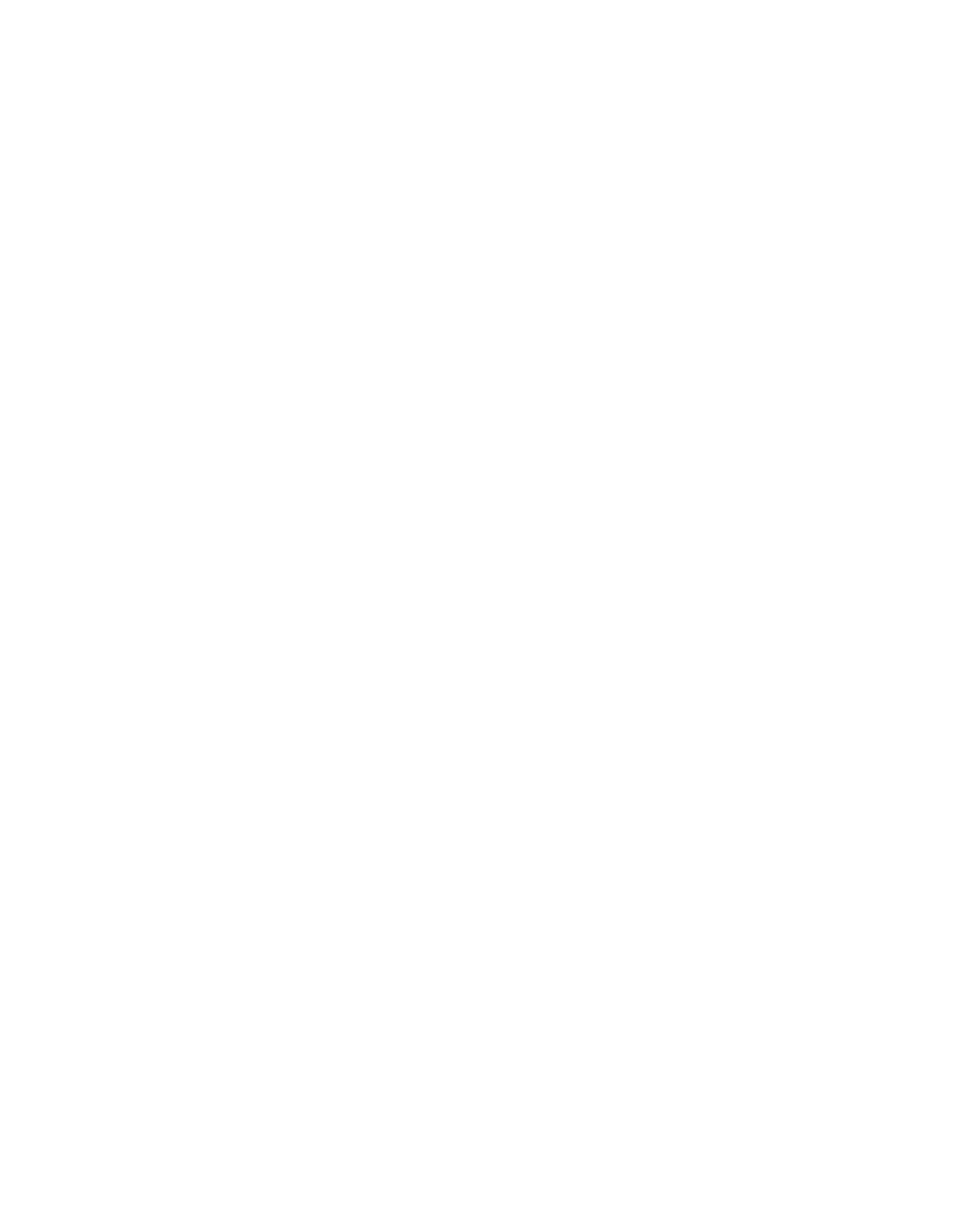 Savage Orchid Racing